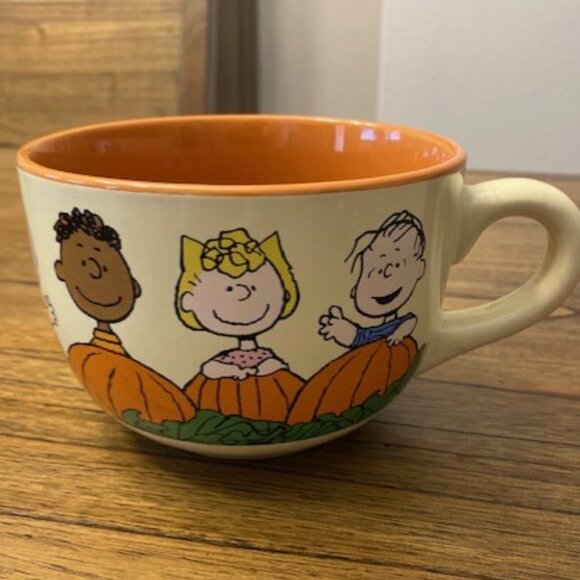 Zrike Brands Other - PEANUTS Soup Bowl/Coffee Mug